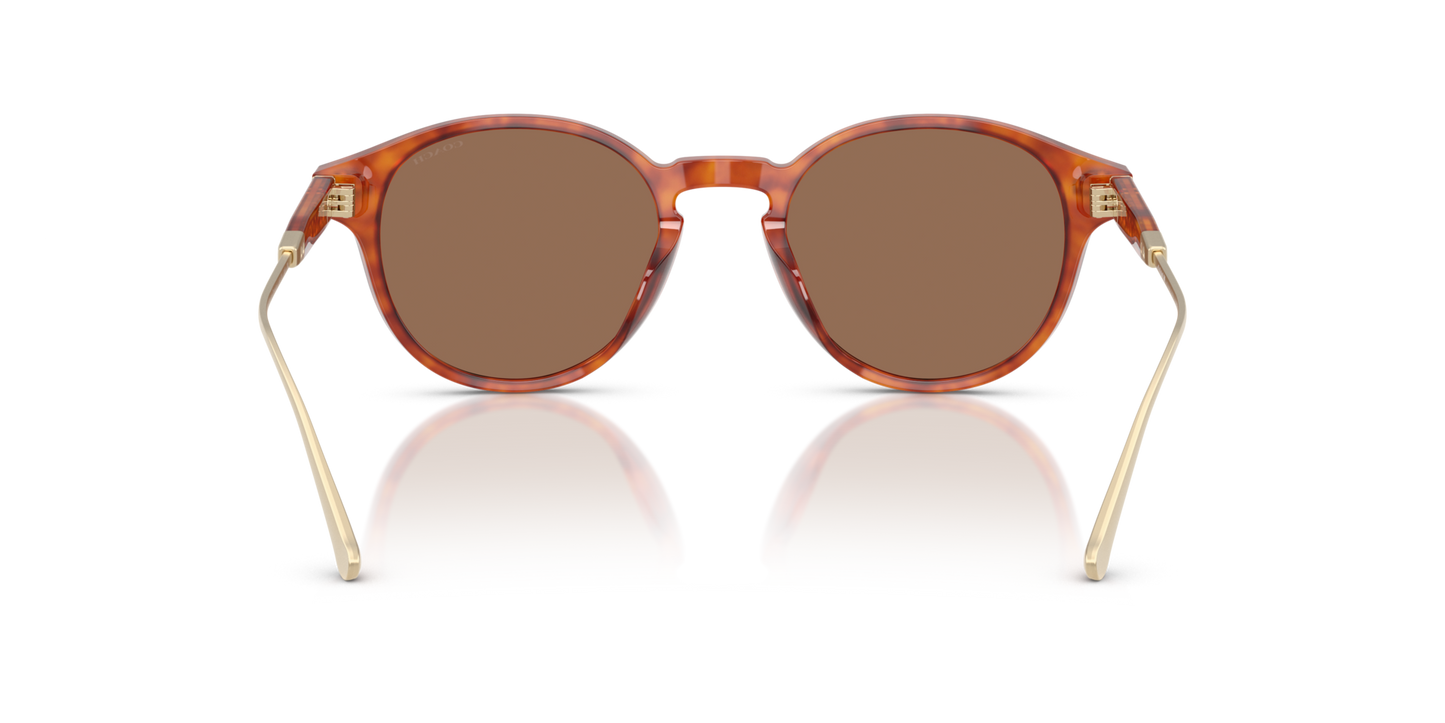 0HC8428U-Coach Sunwear-Caramel Tortoise