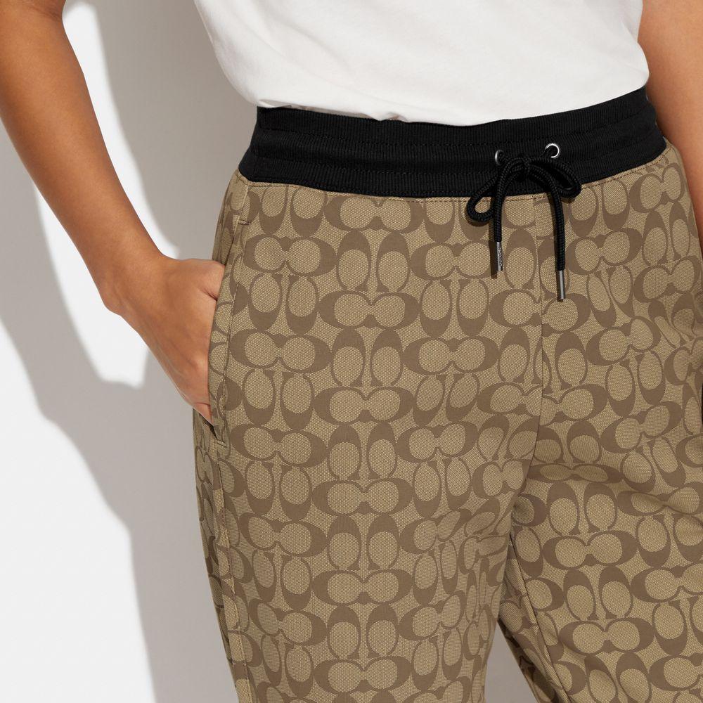 CB586-Signature Joggers-Khaki Multi