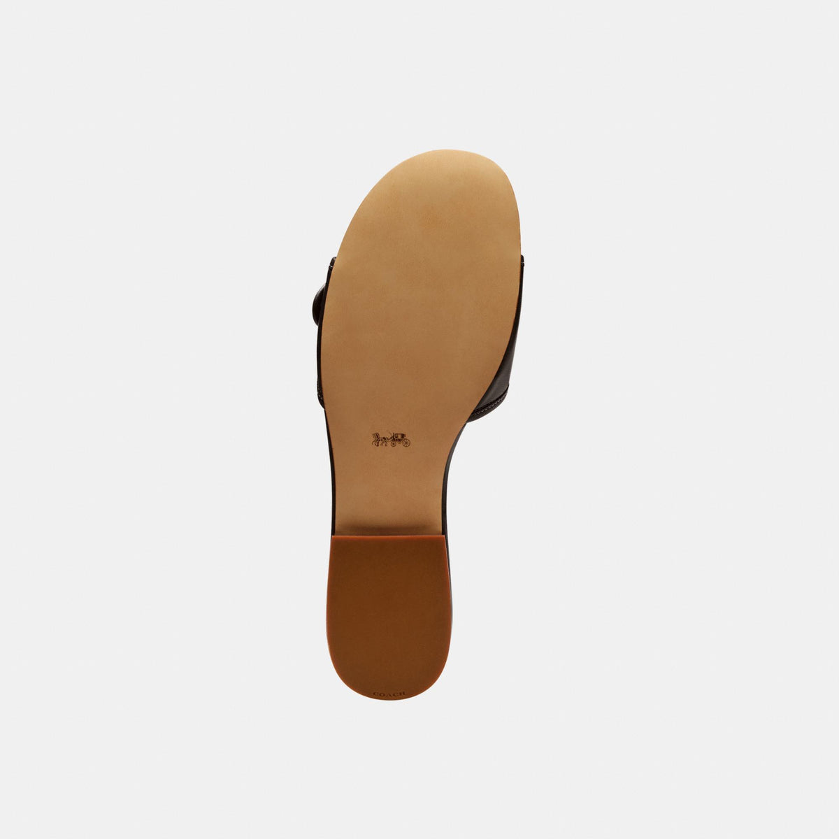 CEF11-Margot Leather Flat Sandal-Chocolate