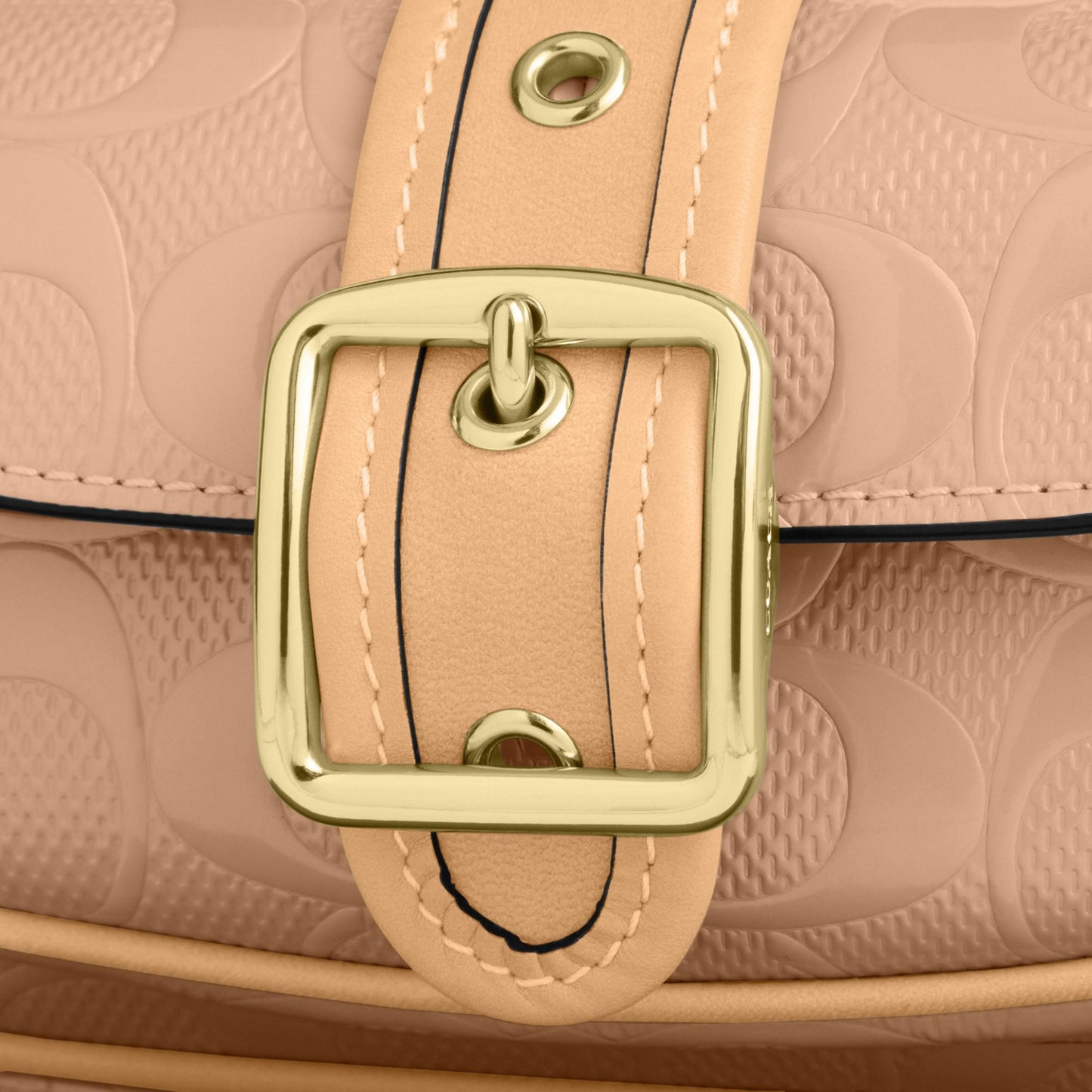 CEN11-Ashton Mini Shoulder Bag in Signature Leather-Im/Faded Blush