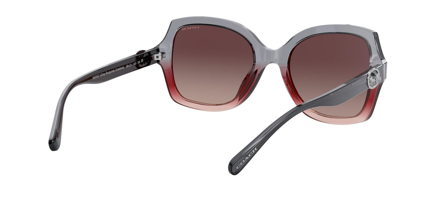 Women Sunwear - COACH Saudi Arabia Official Site