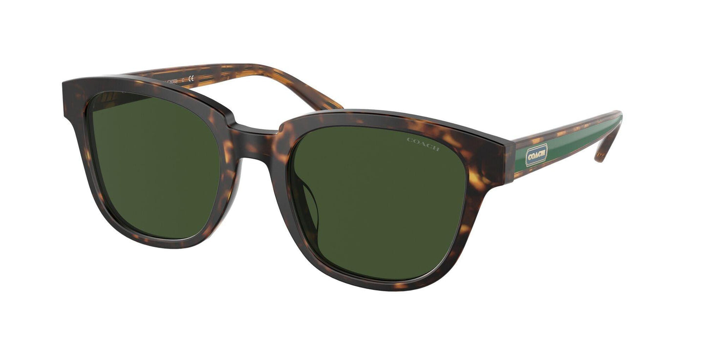 DARK GREEN SOLID