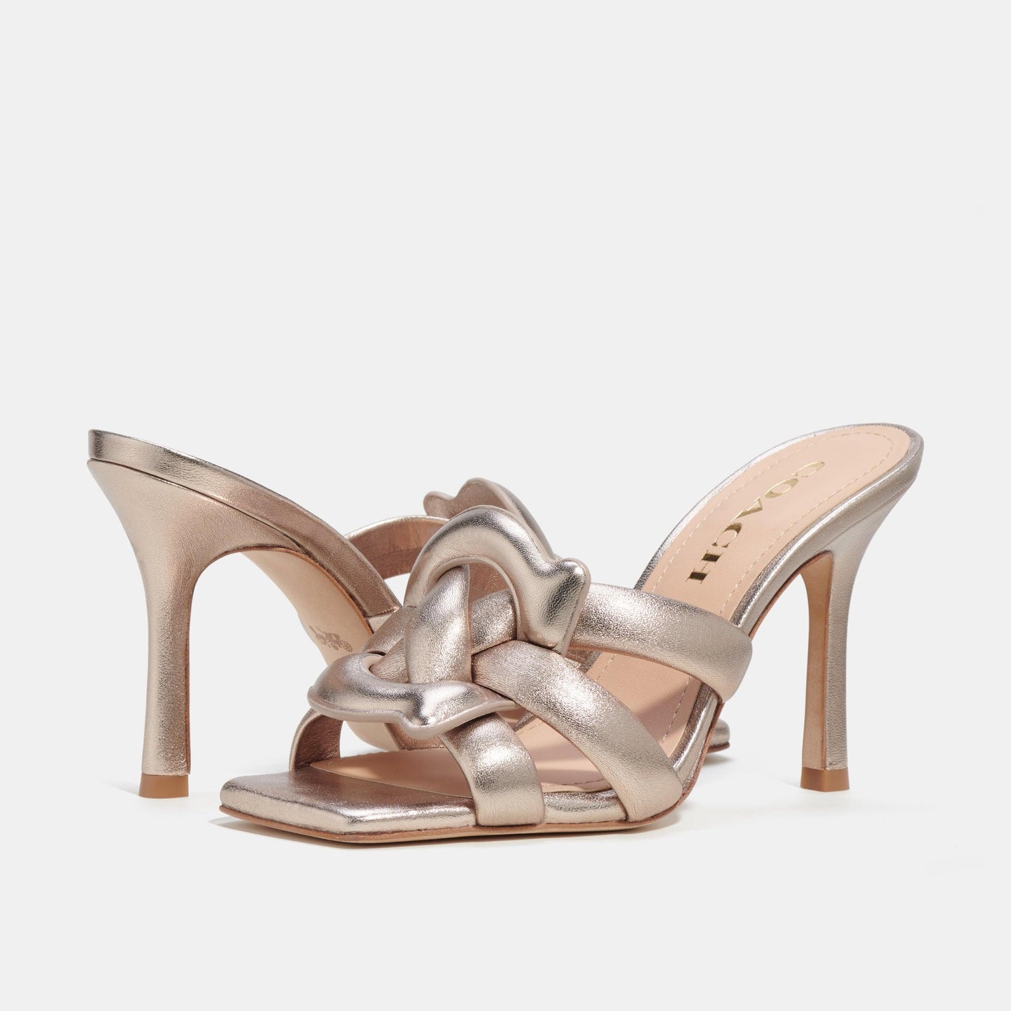 Platinum Champagne