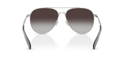 0HC7169-Polyamide Standard Woman Sunwear-Shiny Silver