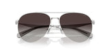 0HC7169-Polyamide Standard Woman Sunwear-Shiny Silver