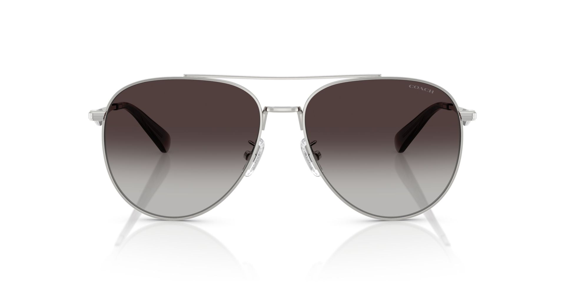 0HC7169-Polyamide Standard Woman Sunwear-Shiny Silver
