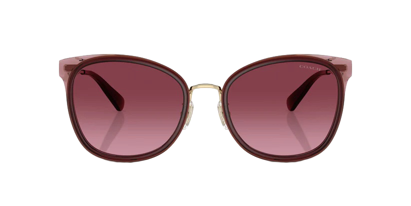 0HC7170-Polyamide Standard Woman Sunwear-Light Gold / Burgundy