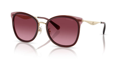 0HC7170-Polyamide Standard Woman Sunwear-Light Gold / Burgundy