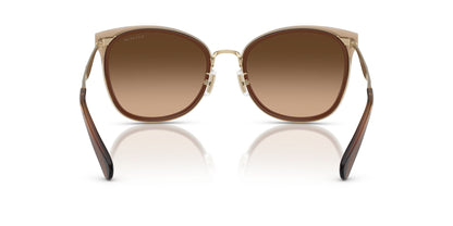 0HC7170-Polyamide Standard Woman Sunwear-Light Gold / Brown