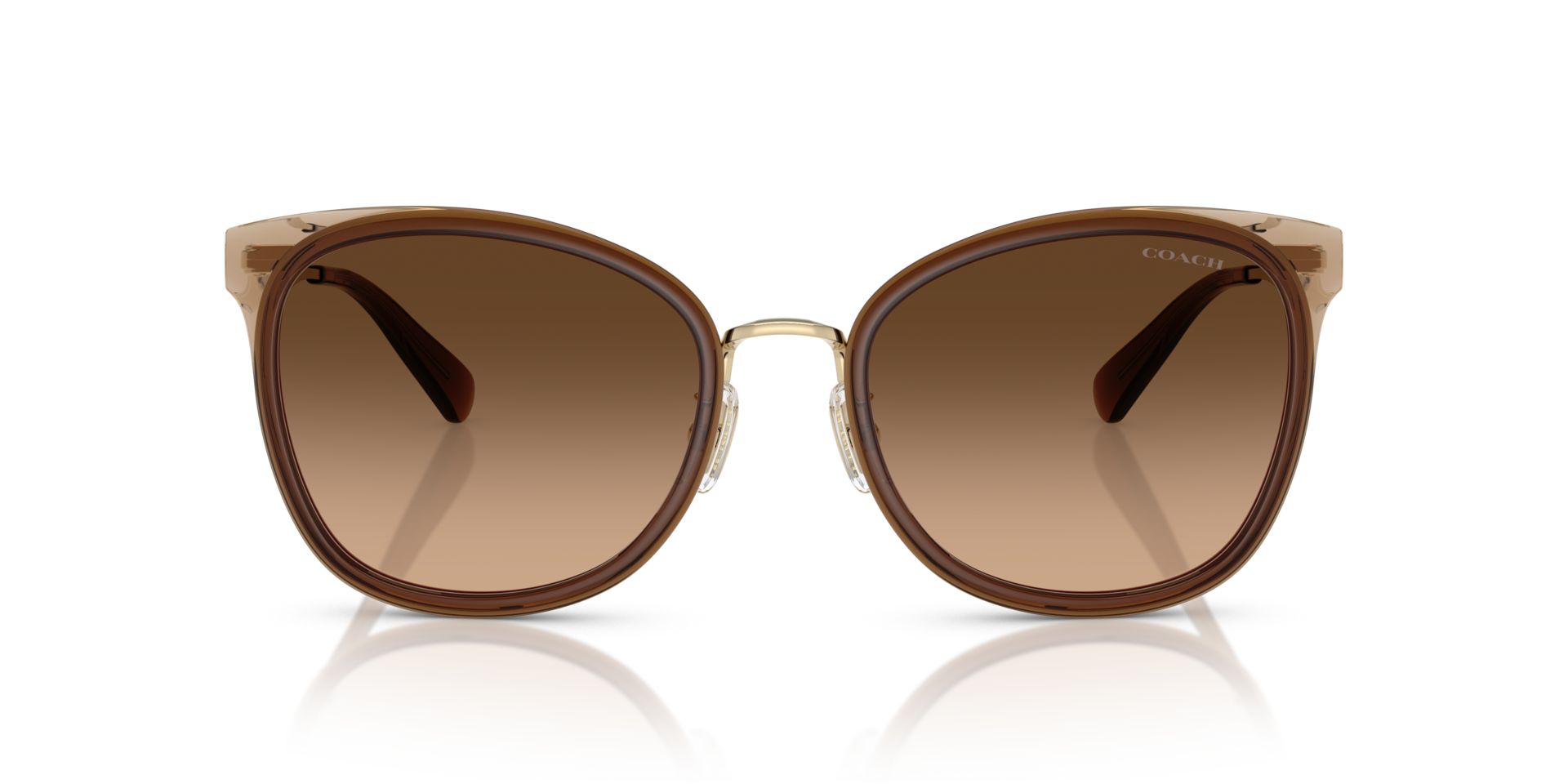 0HC7170-Polyamide Standard Woman Sunwear-Light Gold / Brown