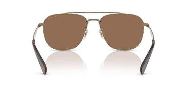 Polyamide Standard Man Sunwear