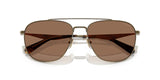 0HC7172-Polyamide Standard Man Sunwear-Antique Gold