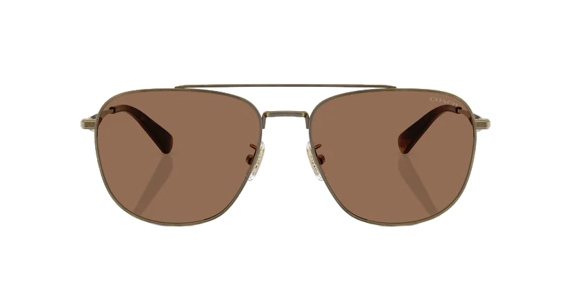 0HC7172-Polyamide Standard Man Sunwear-Antique Gold