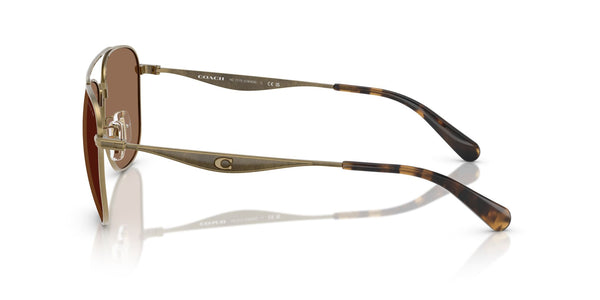 Polyamide Standard Man Sunwear