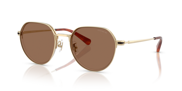 Coach Sunwear