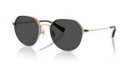 0HC7179-Coach Sunwear-Shiny Light Gold