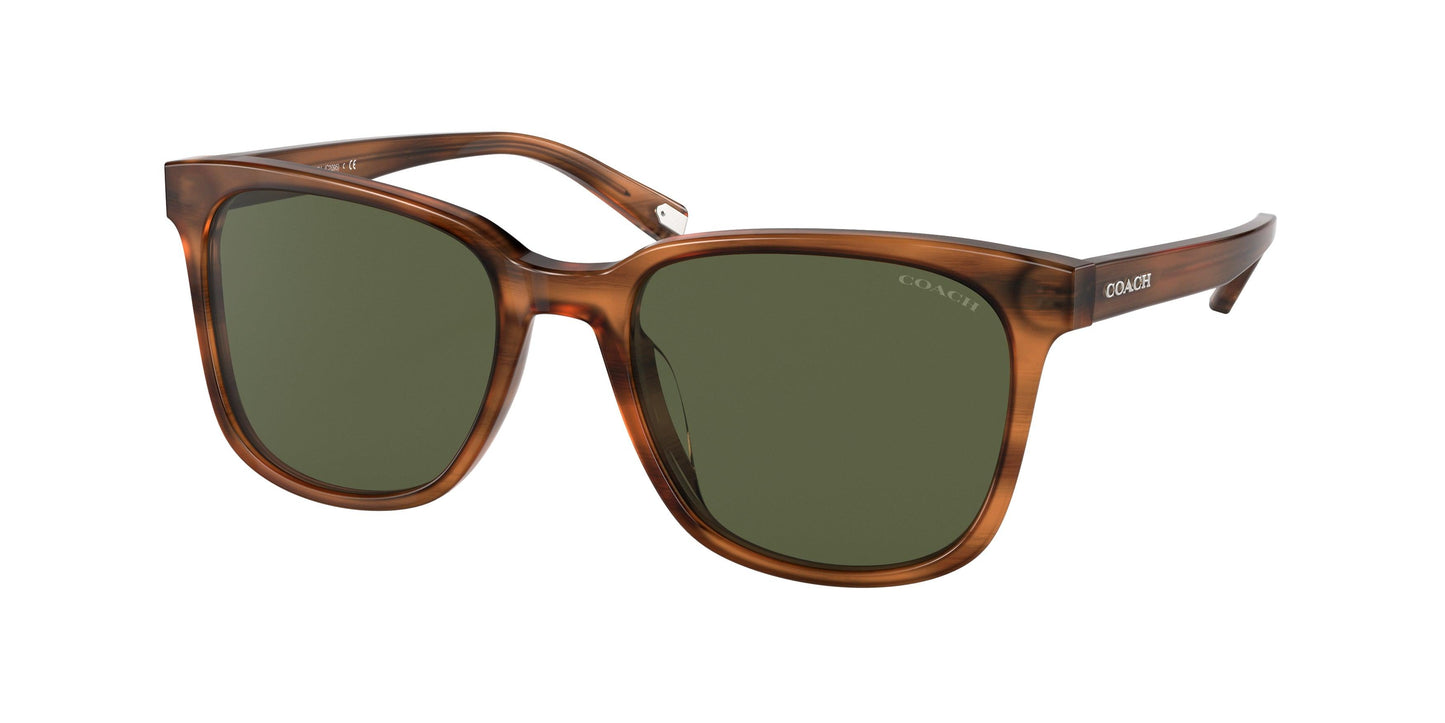 COACH-Women Sunwear-0HC8313U-558171