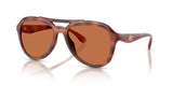 0HC8406U-Policarbonate Standard Woman Sunwear-Caramel Tortoise