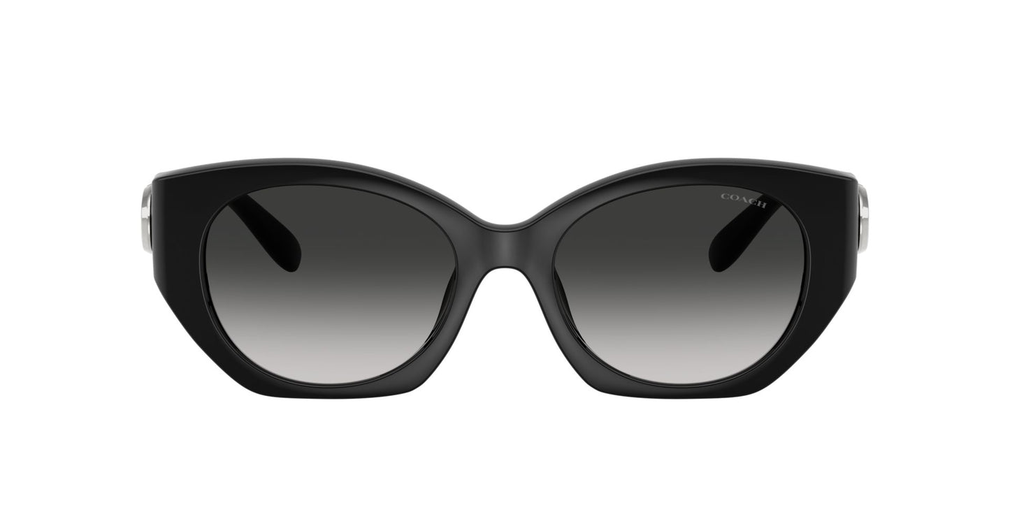 0HC8407U-Injected Woman Sunglass-Black