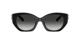 0HC8407U-Injected Woman Sunglass-Black