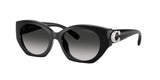 0HC8407U-Injected Woman Sunglass-Black