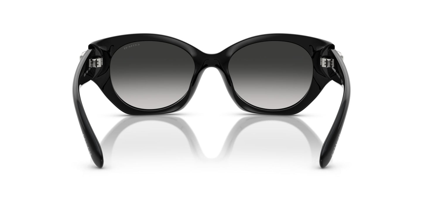 0HC8407U-Injected Woman Sunglass-Black