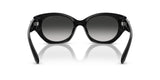 0HC8407U-Injected Woman Sunglass-Black