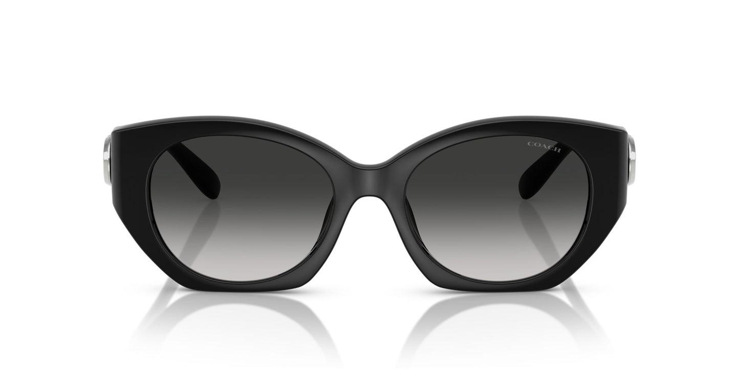 0HC8407U-Injected Woman Sunglass-Black