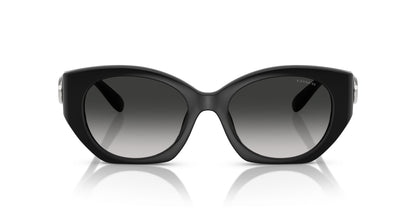 0HC8407U-Injected Woman Sunglass-Black