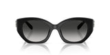 0HC8407U-Injected Woman Sunglass-Black