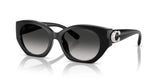 0HC8407U-Injected Woman Sunglass-Black