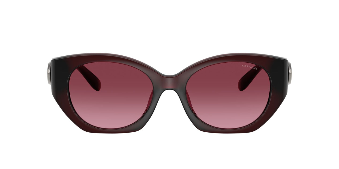 0HC8407U-Injected Woman Sunglass-Milky Burgundy