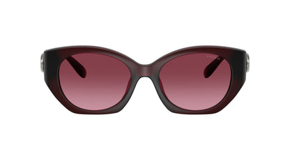 0HC8407U-Injected Woman Sunglass-Milky Burgundy