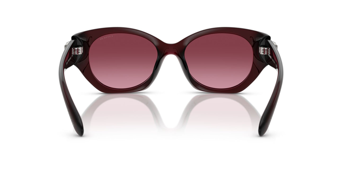0HC8407U-Injected Woman Sunglass-Milky Burgundy