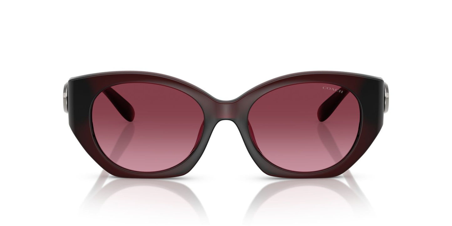 0HC8407U-Injected Woman Sunglass-Milky Burgundy