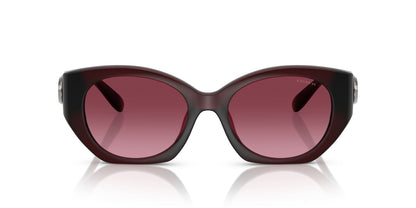 0HC8407U-Injected Woman Sunglass-Milky Burgundy