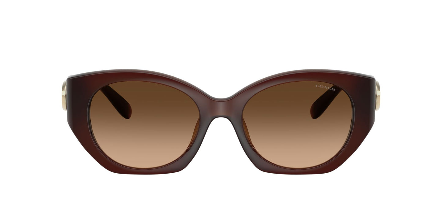 0HC8407U-Injected Woman Sunglass-Milky Hazelnut