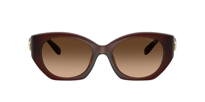 0HC8407U-Injected Woman Sunglass-Milky Hazelnut