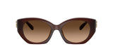 0HC8407U-Injected Woman Sunglass-Milky Hazelnut