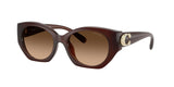 0HC8407U-Injected Woman Sunglass-Milky Hazelnut