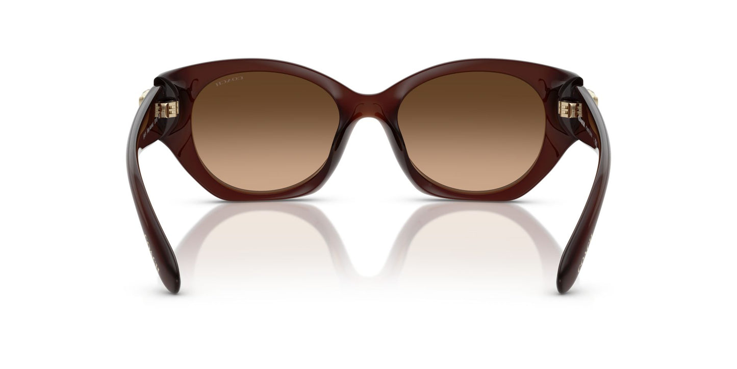 0HC8407U-Injected Woman Sunglass-Milky Hazelnut