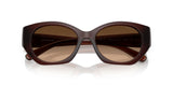 0HC8407U-Injected Woman Sunglass-Milky Hazelnut