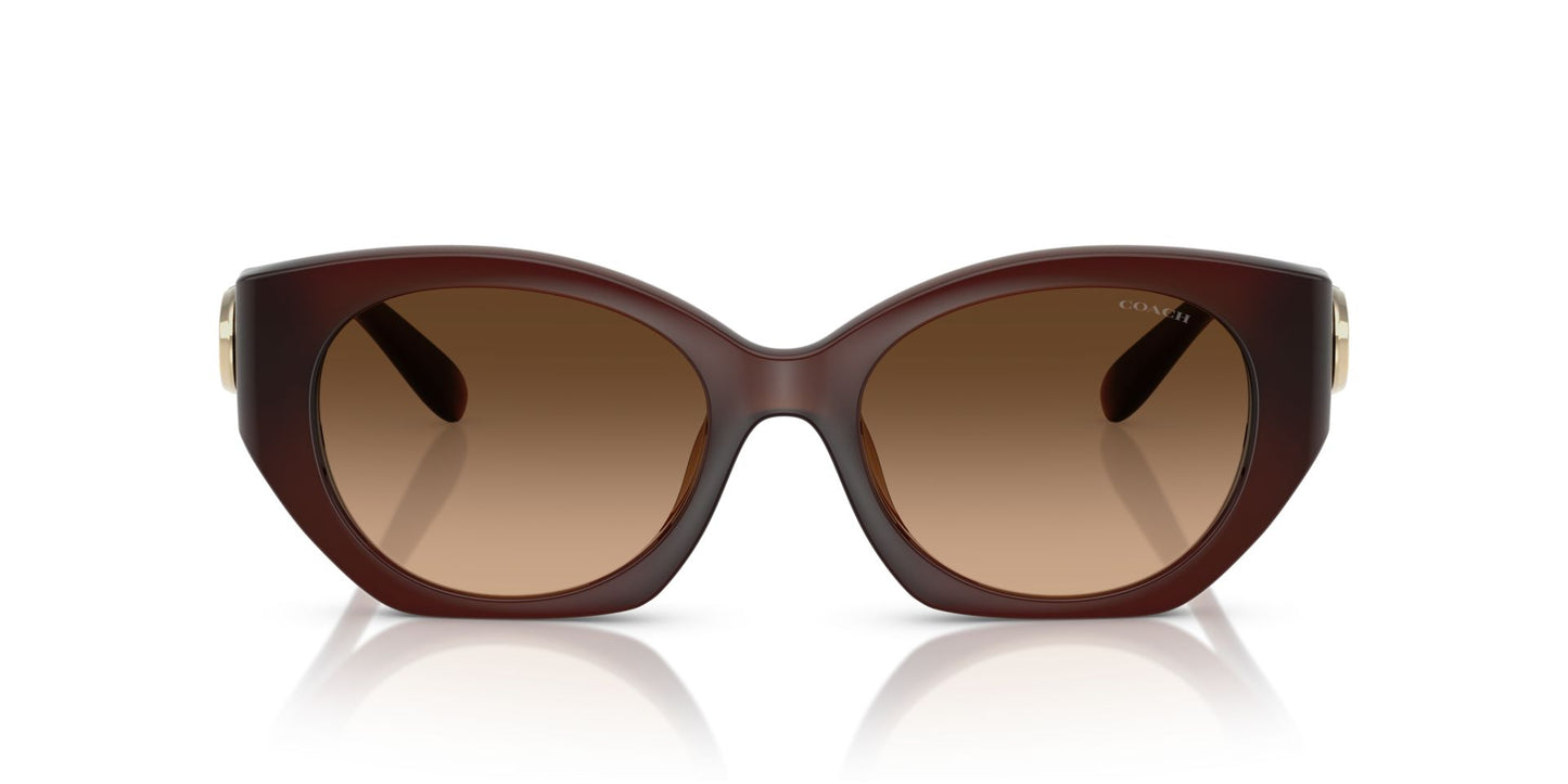 0HC8407U-Injected Woman Sunglass-Milky Hazelnut