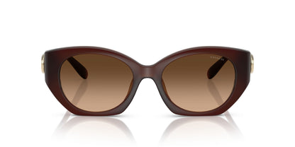 0HC8407U-Injected Woman Sunglass-Milky Hazelnut