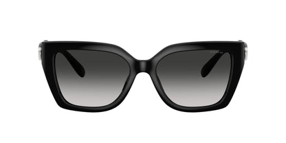 0HC8408U-Injected Woman Sunglass-Black