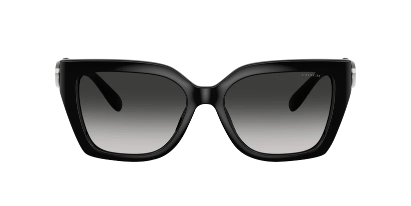 0HC8408U-Injected Woman Sunglass-Black