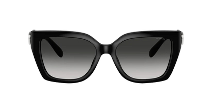 0HC8408U-Injected Woman Sunglass-Black