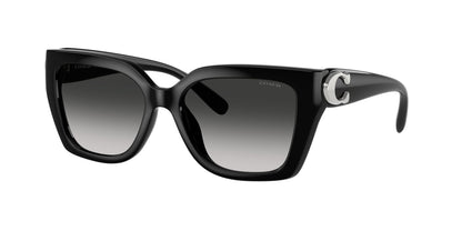 0HC8408U-Injected Woman Sunglass-Black