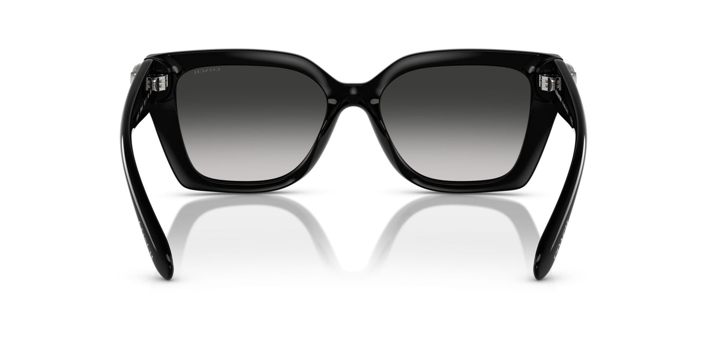 0HC8408U-Injected Woman Sunglass-Black