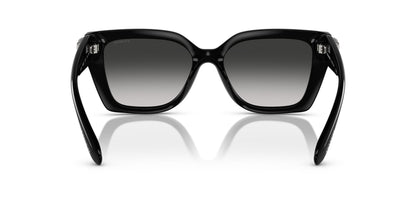 0HC8408U-Injected Woman Sunglass-Black